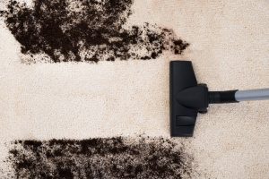 can you use bissell carpet cleaner on area rugs?
