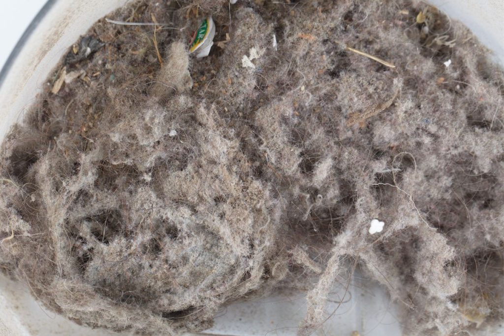 How To Empty a Dyson V11 Eight's Great